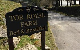Tor Royal Farm